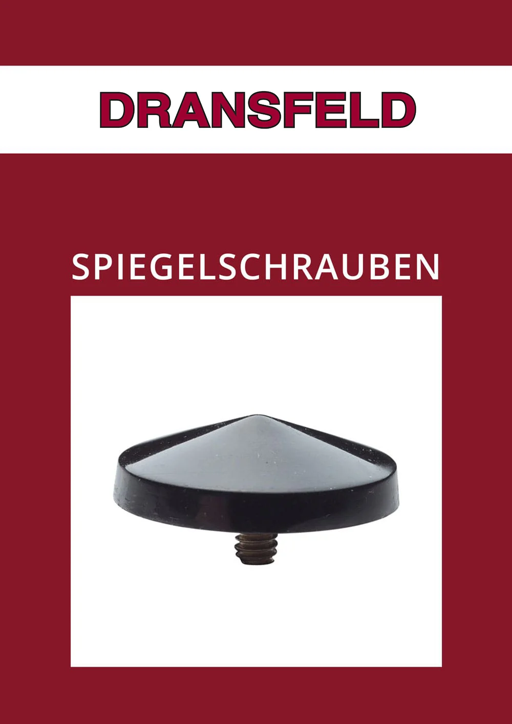 Katalog Spiegelschrauben